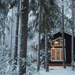 Гостевой дом Царство-Королевство Рощино-127