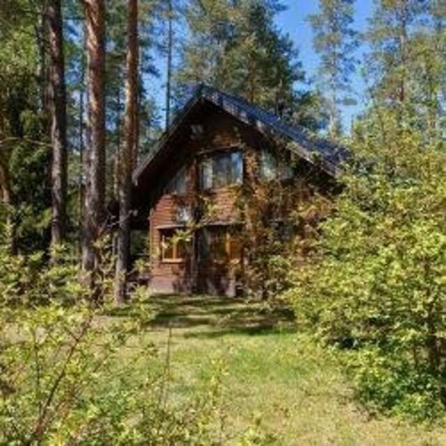 Гостевой дом Царство-Королевство Рощино-23