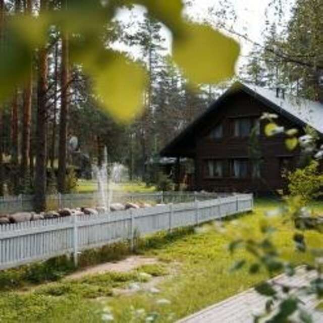 Гостевой дом Царство-Королевство Рощино-25